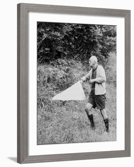 Author Vladimir Nabokov Hunting Down Specimen for His Collection with Butterfly Net in Countryside-null-Framed Premium Photographic Print