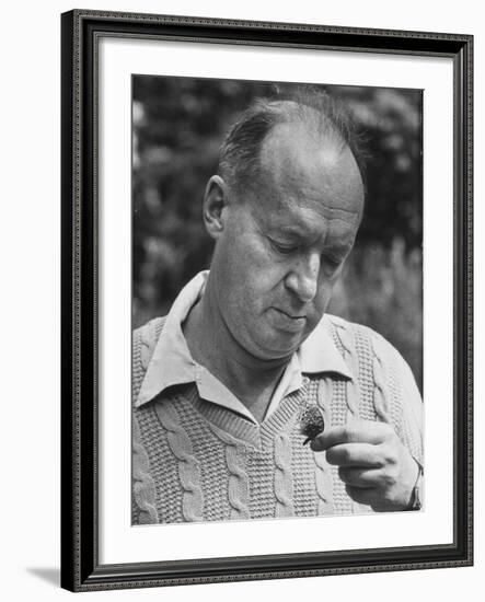 Author Vladimir Nabokov Looking at a Butterfly-Carl Mydans-Framed Premium Photographic Print