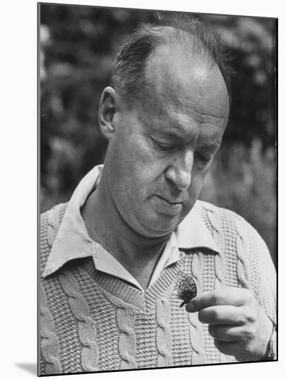 Author Vladimir Nabokov Looking at a Butterfly-Carl Mydans-Mounted Premium Photographic Print