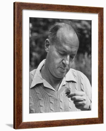 Author Vladimir Nabokov Looking at a Butterfly-Carl Mydans-Framed Premium Photographic Print