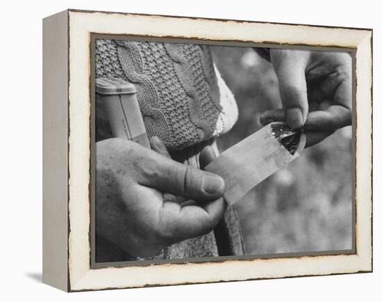 Author Vladimir Nabokov Putting a Butterfly into an Envelope-Carl Mydans-Framed Premier Image Canvas
