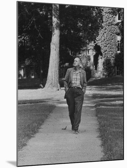 Author Vladimir Nabokov Walking Down Sidewalk-Carl Mydans-Mounted Premium Photographic Print