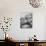 Author W. Somerset Maugham Reading While Sitting on the Rocky Shore During His Summer on Cape Cod-Alfred Eisenstaedt-Premium Photographic Print displayed on a wall