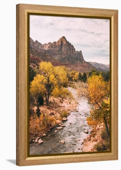 Autmun Virgin River, Zion National Park, Utah-Vincent James-Framed Premier Image Canvas