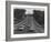 Auto Race-null-Framed Photographic Print