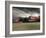 Auto Racing Action-null-Framed Photographic Print