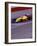 Auto Racing Action-null-Framed Photographic Print