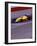 Auto Racing Action-null-Framed Photographic Print