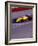 Auto Racing Action-null-Framed Photographic Print