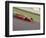 Auto Racing Action-null-Framed Photographic Print