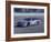 Auto Racing Action-Chris Trotman-Framed Photographic Print