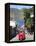 Auto Rickshaw, San Pedro, San Pedro La Laguna, Lake Atitlan, Guatemala, Central America-Wendy Connett-Framed Premier Image Canvas