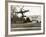 Autogiro Takes Off at White House-null-Framed Photographic Print