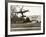 Autogiro Takes Off at White House-null-Framed Photographic Print