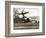 Autogiro Takes Off at White House-null-Framed Photographic Print