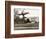 Autogiro Takes Off at White House-null-Framed Photographic Print