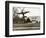 Autogiro Takes Off at White House-null-Framed Photographic Print