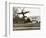 Autogiro Takes Off at White House-null-Framed Photographic Print