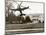 Autogiro Takes Off at White House-null-Mounted Photographic Print