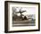 Autogiro Takes Off at White House-null-Framed Photographic Print