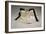 Autographed Fight Trunks from Muhammad Ali's World Championship Fight, 1974-null-Framed Giclee Print