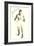 Autographed Photo of Jack Dempsey-null-Framed Premium Giclee Print
