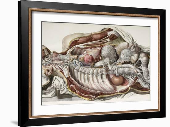 Autonomic Nerves, 1844 Artwork-Science Photo Library-Framed Photographic Print