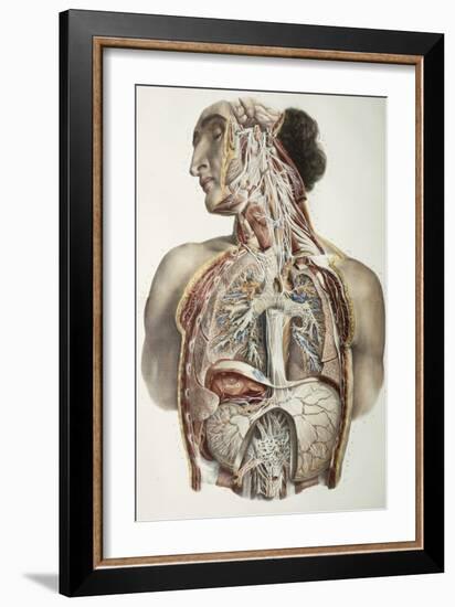 Autonomic Nerves, 1844 Artwork-Science Photo Library-Framed Photographic Print