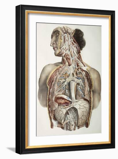 Autonomic Nerves, 1844 Artwork-Science Photo Library-Framed Photographic Print