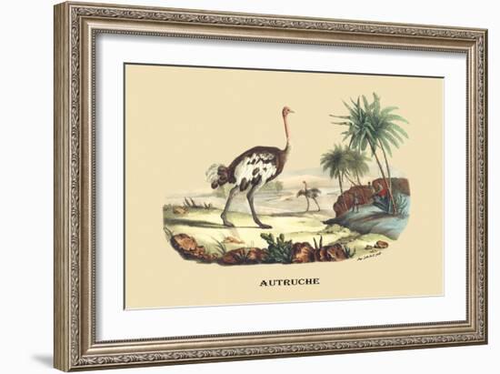 Autruche (Ostrich)-E.f. Noel-Framed Art Print