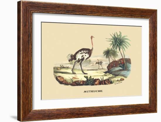 Autruche (Ostrich)-E.f. Noel-Framed Art Print