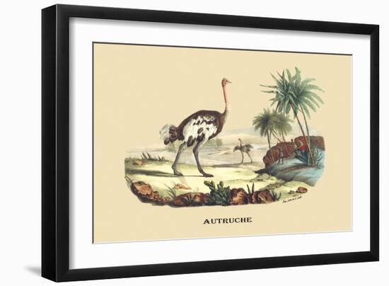 Autruche (Ostrich)-E.f. Noel-Framed Art Print