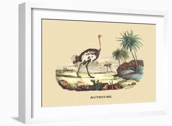 Autruche (Ostrich)-E.f. Noel-Framed Art Print