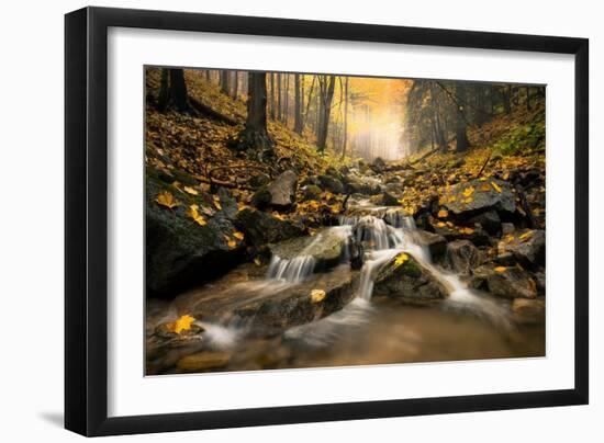 Autum Stream-Stefan Hefele-Framed Giclee Print