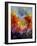 Autumn 453180-Pol Ledent-Framed Art Print