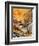 Autumn 5650-Pol Ledent-Framed Art Print