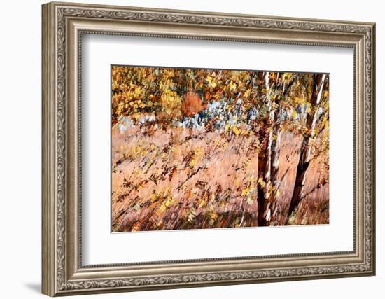 Autumn Abstract-Ursula Abresch-Framed Photographic Print