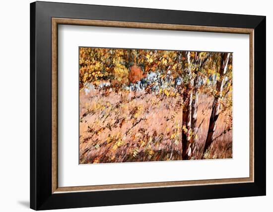 Autumn Abstract-Ursula Abresch-Framed Photographic Print