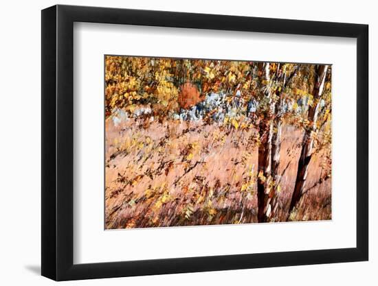 Autumn Abstract-Ursula Abresch-Framed Photographic Print