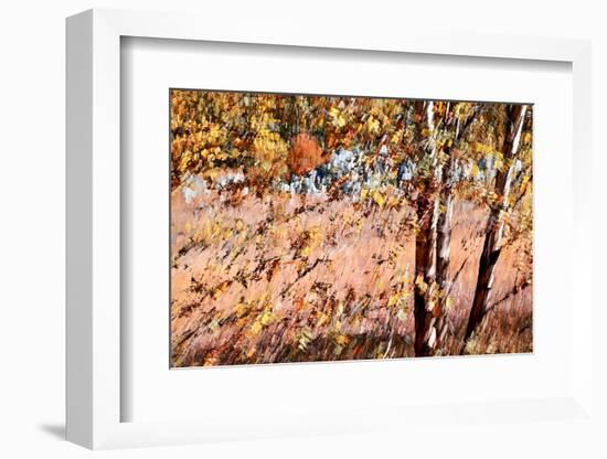 Autumn Abstract-Ursula Abresch-Framed Photographic Print