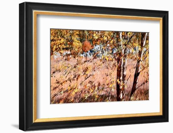 Autumn Abstract-Ursula Abresch-Framed Photographic Print