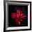 Autumn Acer Leaves-Charles Bowman-Framed Photographic Print