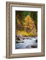 Autumn Across The River-Michael Broom-Framed Photographic Print