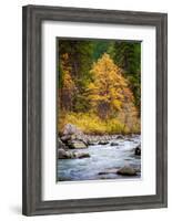 Autumn Across The River-Michael Broom-Framed Photographic Print