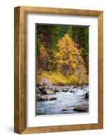 Autumn Across The River-Michael Broom-Framed Photographic Print