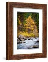 Autumn Across The River-Michael Broom-Framed Photographic Print