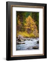 Autumn Across The River-Michael Broom-Framed Photographic Print