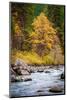 Autumn Across The River-Michael Broom-Mounted Photographic Print