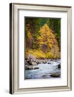 Autumn Across The River-Michael Broom-Framed Photographic Print