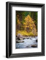 Autumn Across The River-Michael Broom-Framed Photographic Print